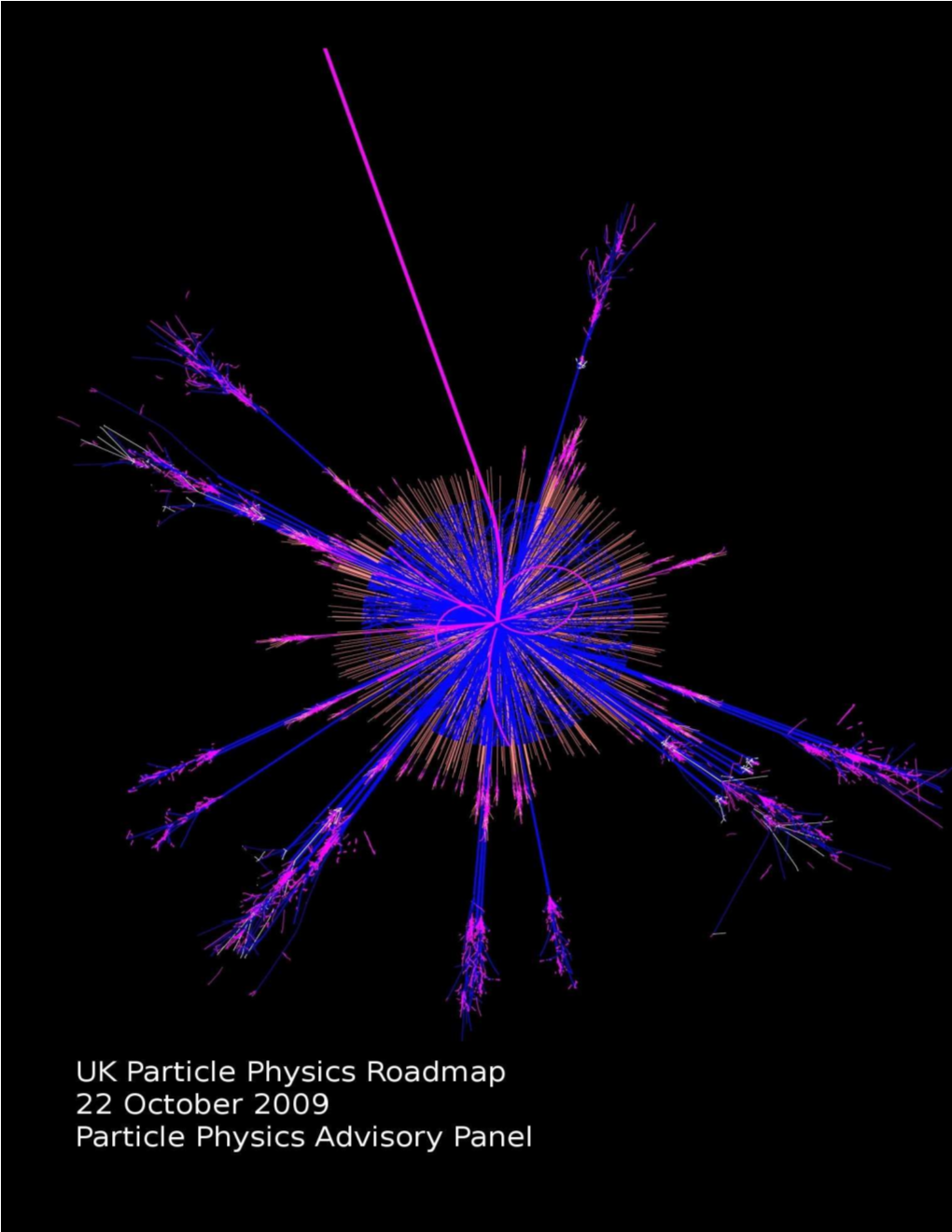 2009 Report of the Particle Physics Advisory Panel