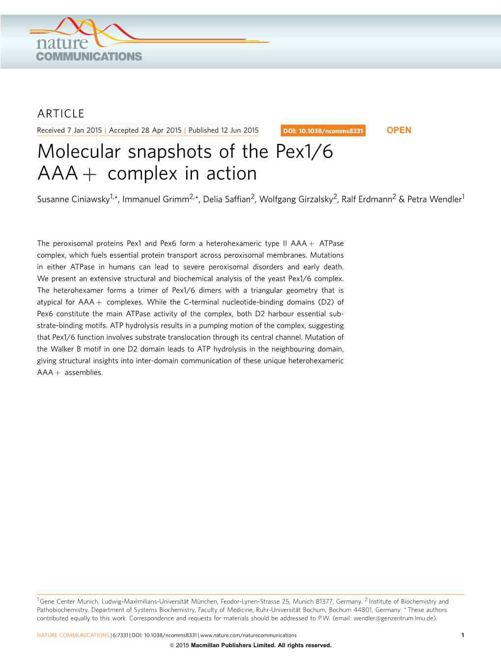 Molecular Snapshots of the Pex1/6 AAA&Plus