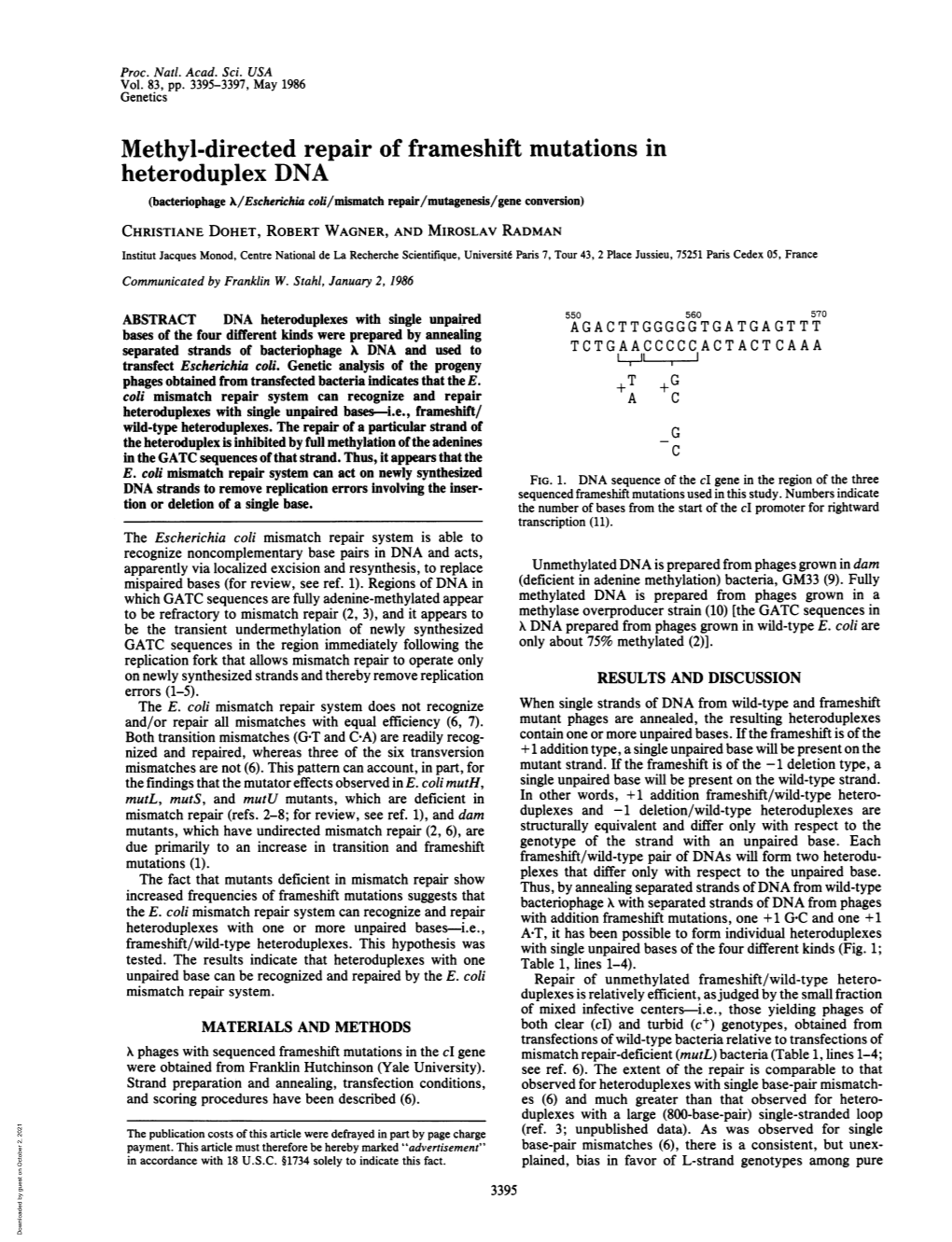 Methyl-Directed Repair of Frameshift Mutations in Heteroduplex