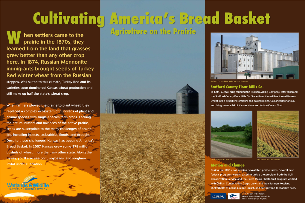 Cultivating America's Bread Basket