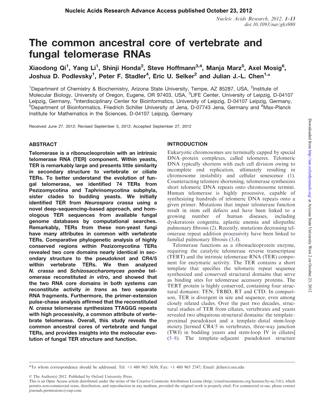 The Common Ancestral Core of Vertebrate and Fungal Telomerase Rnas Xiaodong Qi1, Yang Li1, Shinji Honda2, Steve Hoffmann3,4, Manja Marz5, Axel Mosig6, Joshua D
