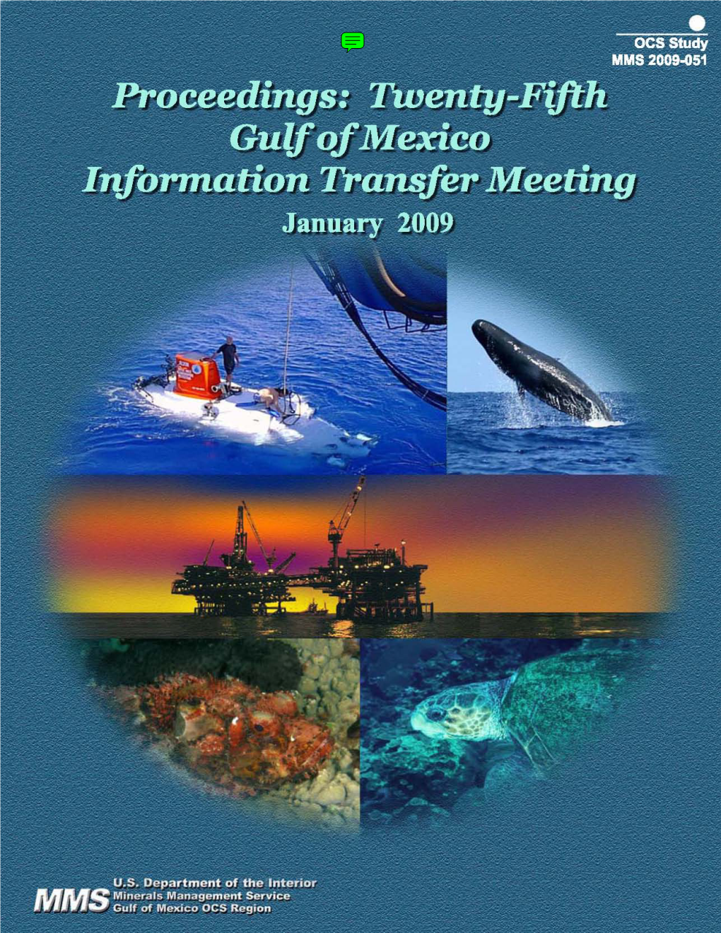 Proceedings: Twenty-Fifth Gulf of Mexico Information Transfer Meeting