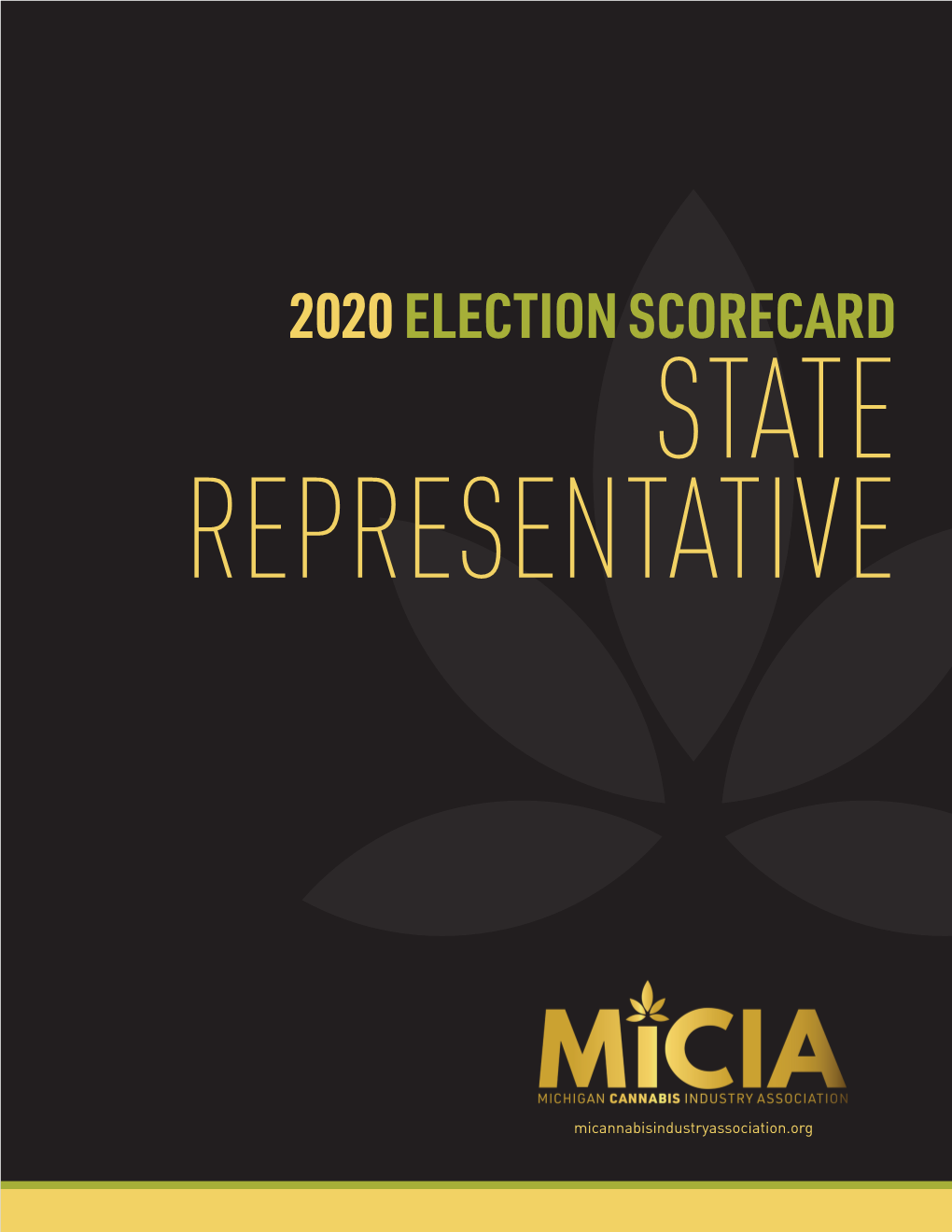 2020 Election Scorecard State Representative