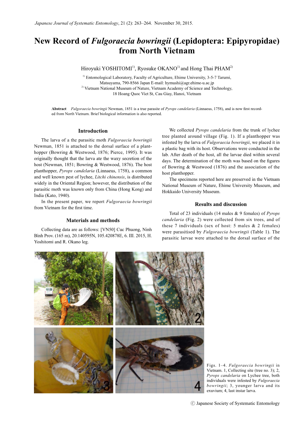 New Record of Fulgoraecia Bowringii (Lepidoptera: Epipyropidae) from North Vietnam