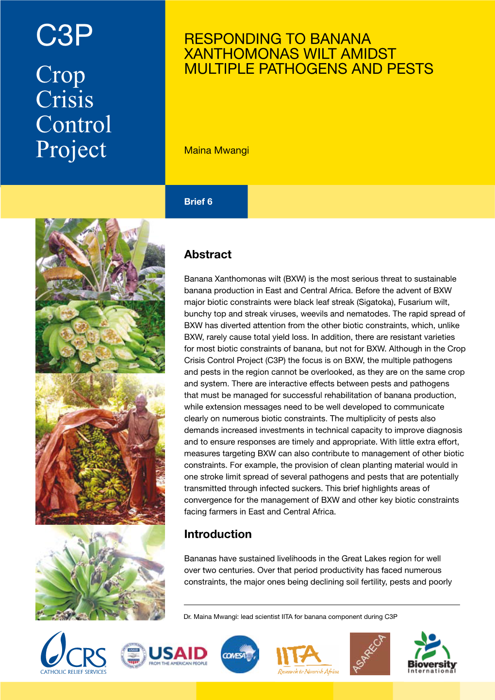 Responding to BXW Amidst Multiple Pathogens and Pests