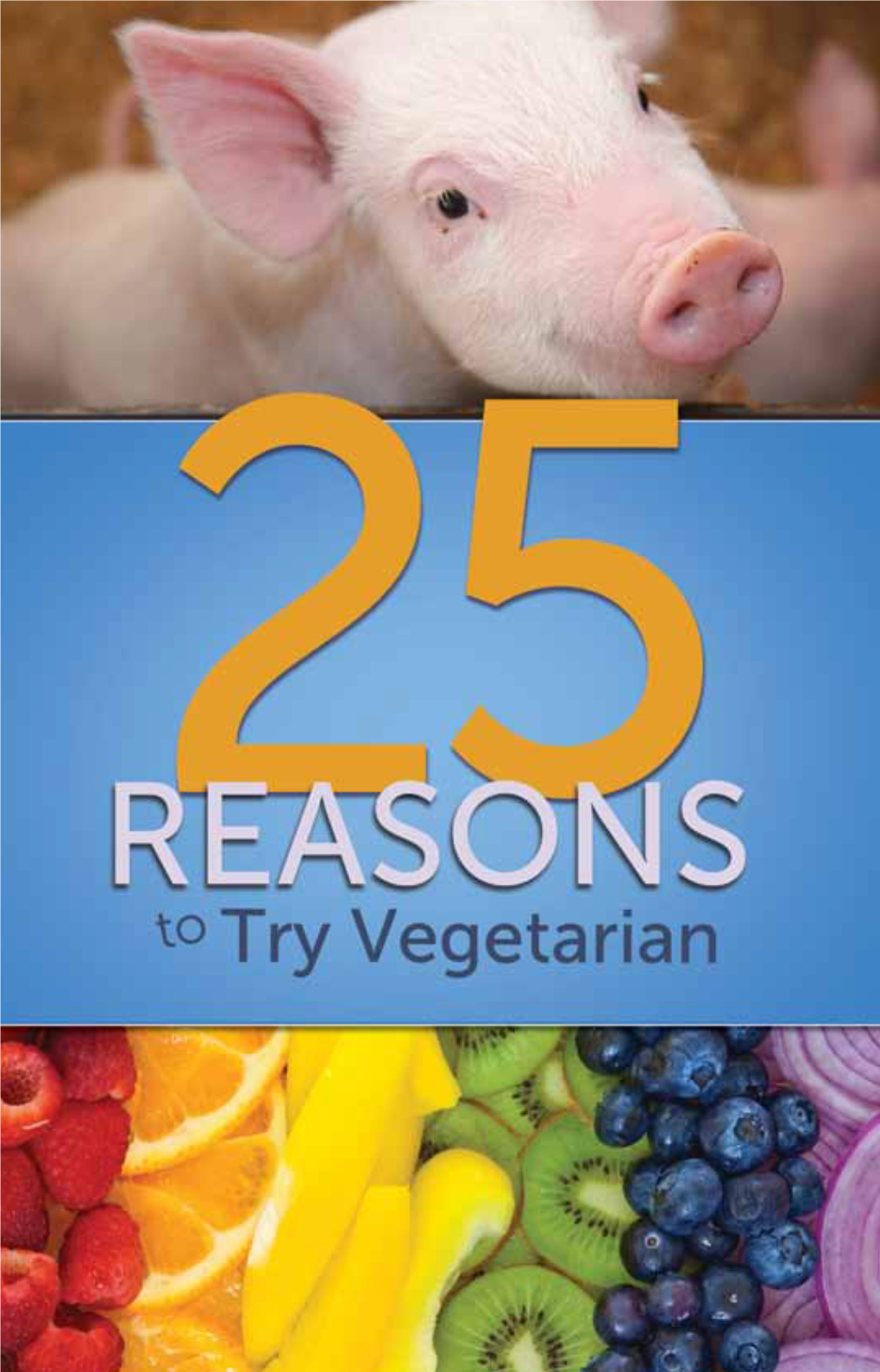 25 Reasons to Try Vegetarian