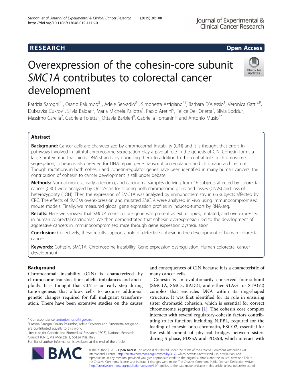 Overexpression of the Cohesin-Core Subunit SMC1A Contributes To