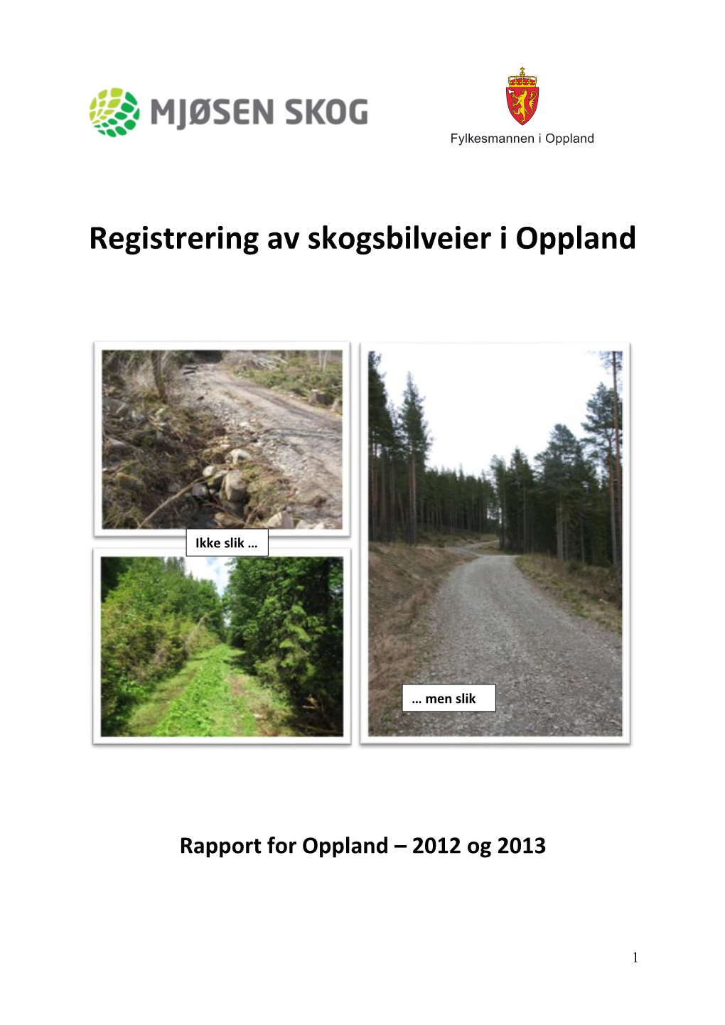 Registrering Av Skogsbilveier I Oppland