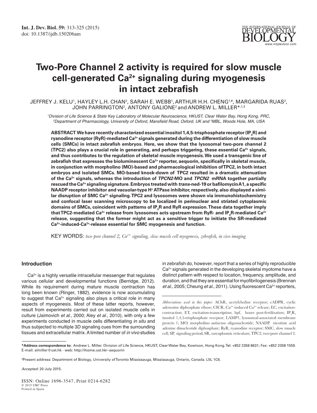 Two-Pore Channel 2 Activity Is Required for Slow Muscle Cell-Generated Ca2+ Signaling During Myogenesis in Intact Zebrafish JEFFREY J