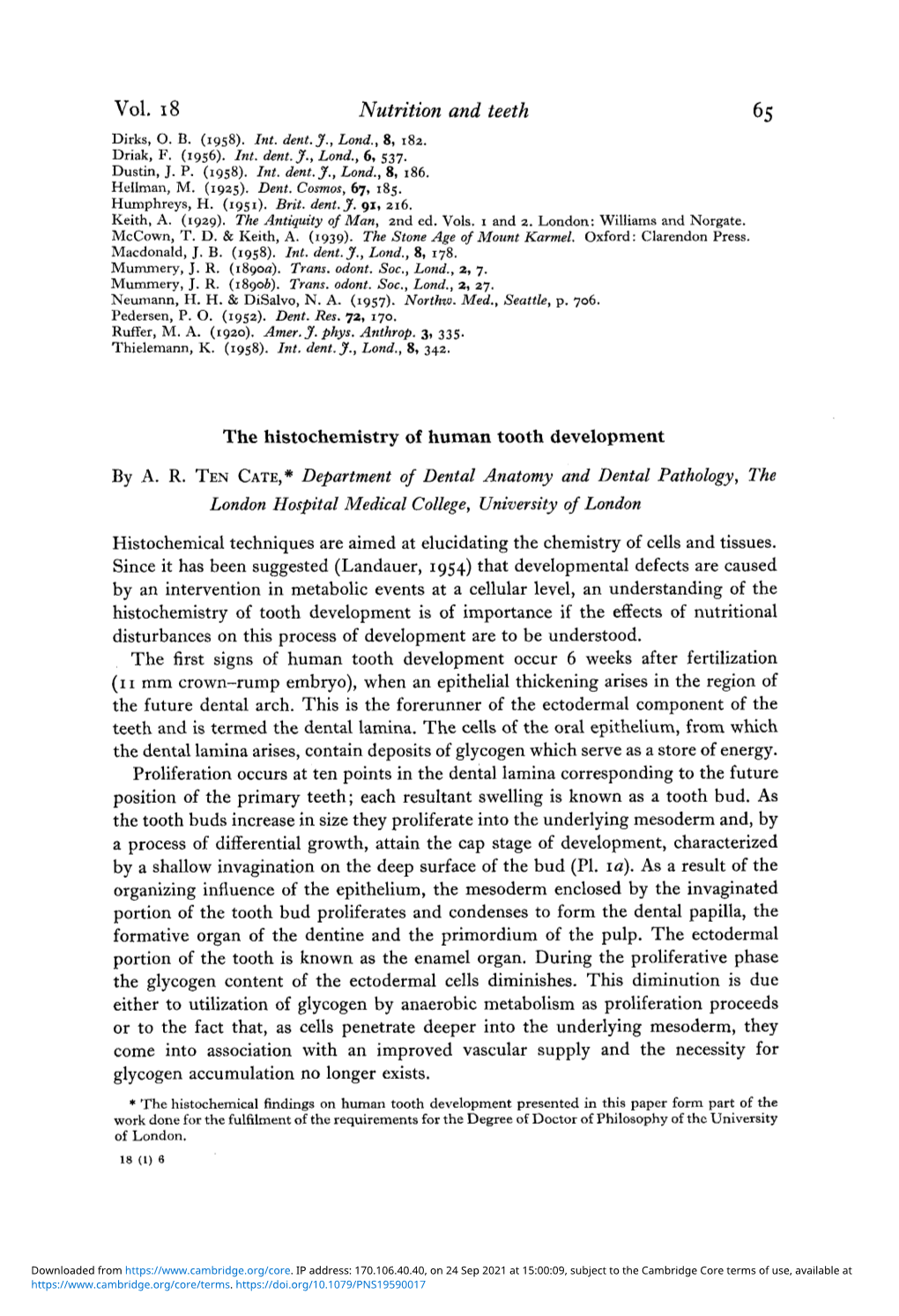 The Histochemistry of Human Tooth Development