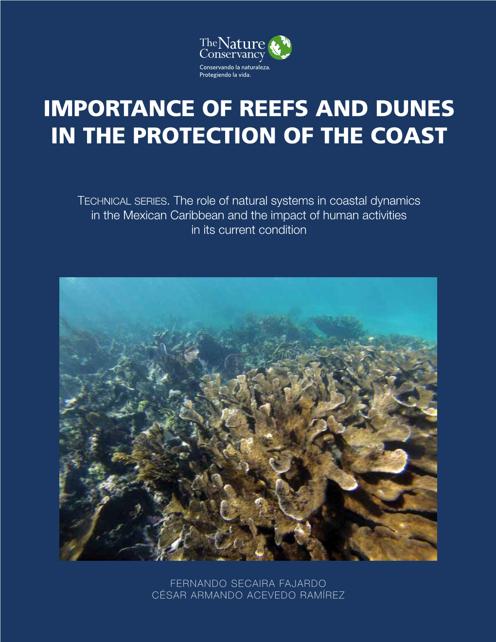 Importance of Reefs and Dunes in the Protection of the Coast