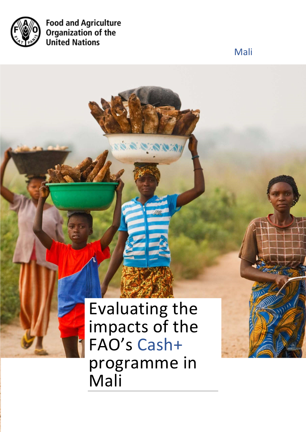 Evaluating the Impacts of the FAO's Cash+ Programme in Mali
