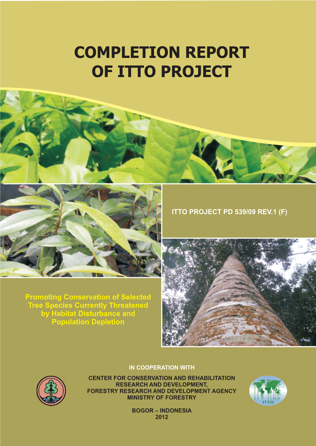 Completion Report of Itto Project