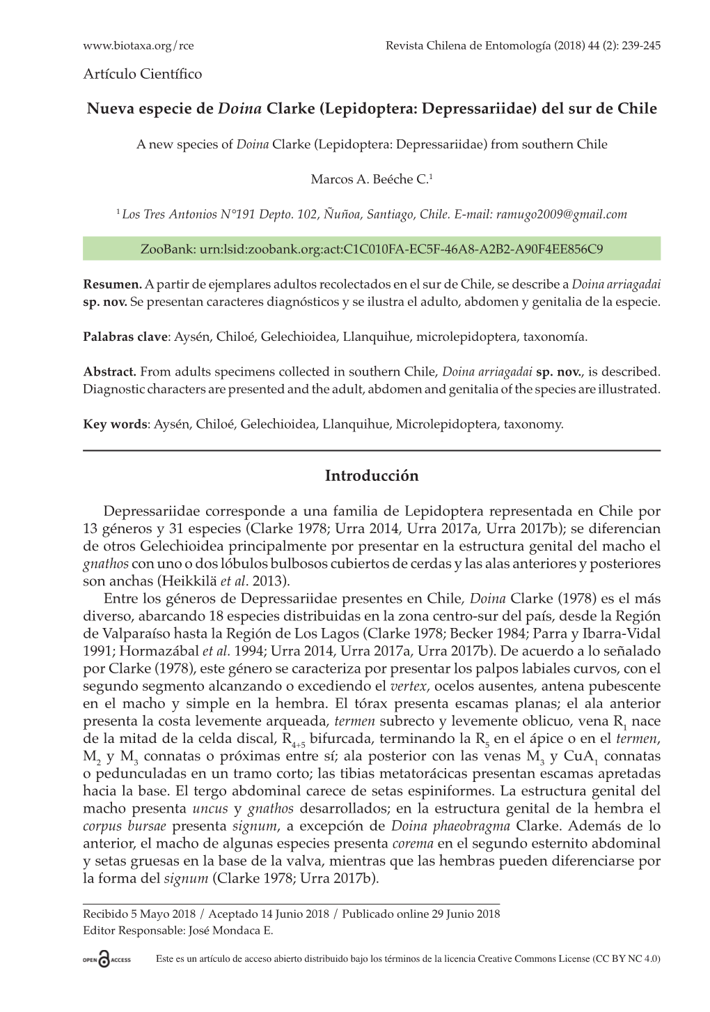 Nueva Especie De Doina Clarke (Lepidoptera: Depressariidae) Del Sur De Chile