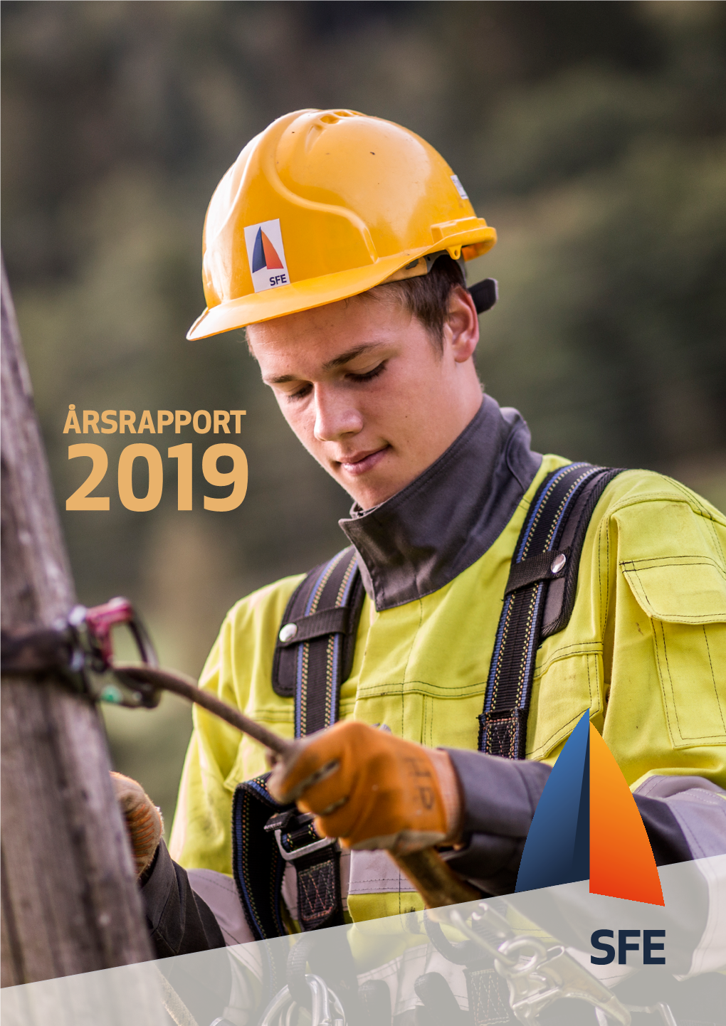 Årsrapport 2019