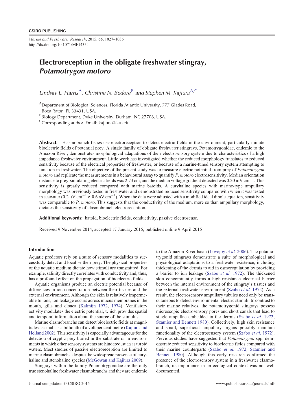 Electroreception in the Obligate Freshwater Stingray, Potamotrygon Motoro