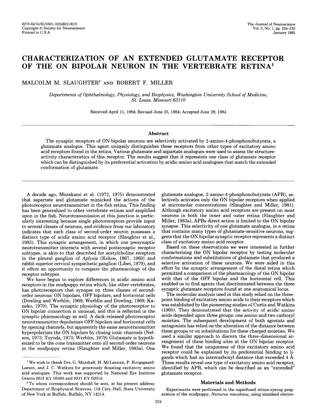 Characterization of an Extended Glutamate Receptor of the on Bipolar Neuron in the Vertebrate Retina'