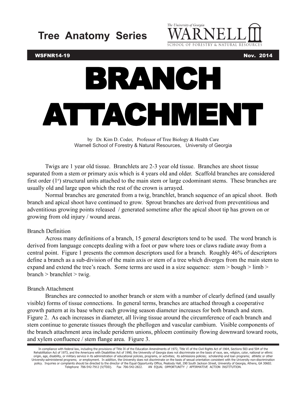 Tree Anatomy Stems and Branches