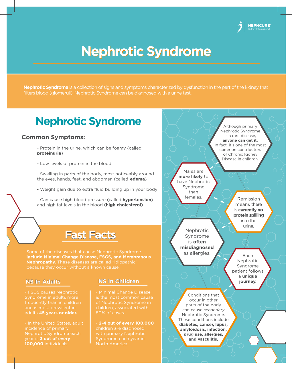 Nephrotic Syndrome Fact Sheet 4.12.18