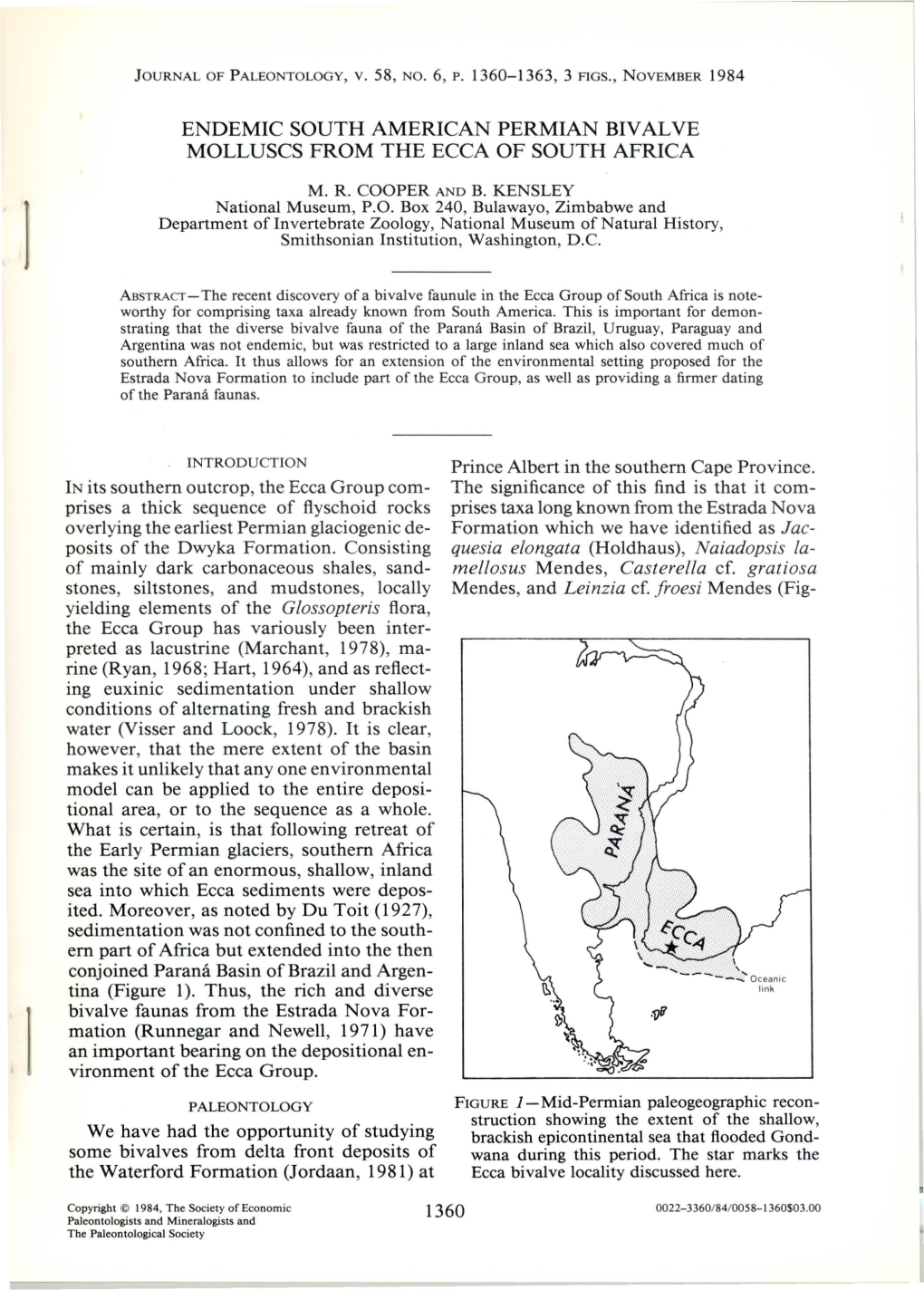 Endemic South American Permian Bivalve Molluscs from the Ecca of South Africa