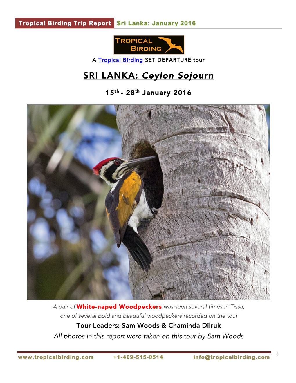 Sri Lanka: January 2016