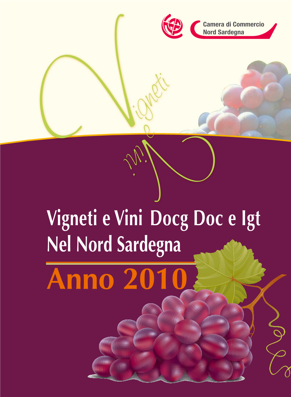 Vigneti E Vini DOCG, DOC E IGT Nel