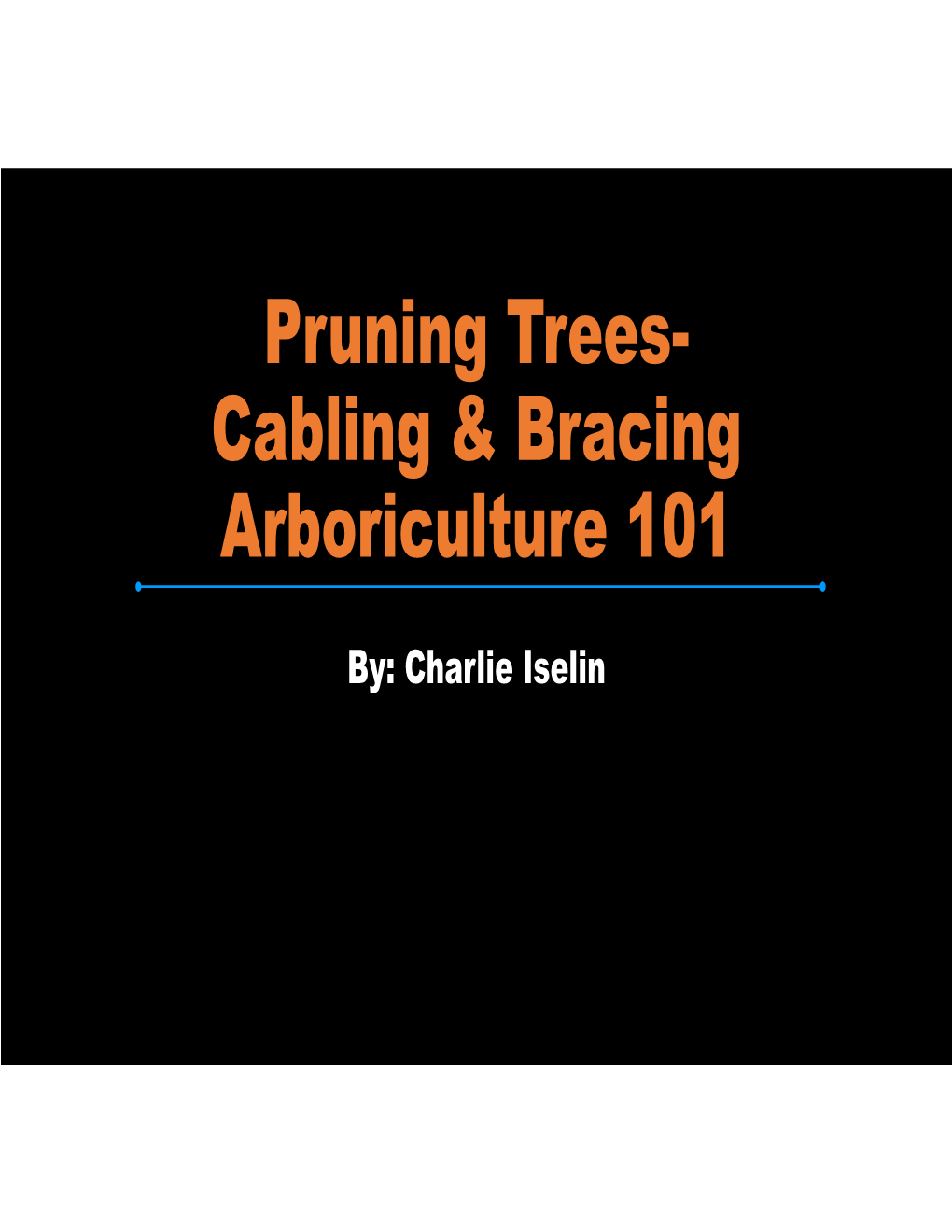 Pruning Trees- Cabling & Bracing Arboriculture