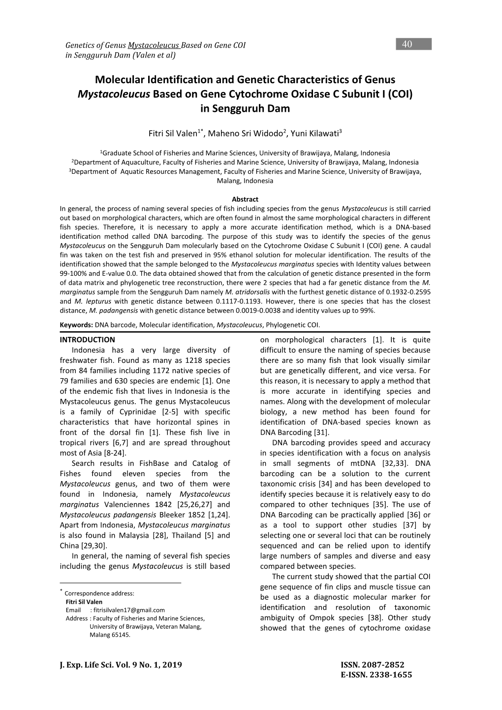 Molecular Identification and Genetic Characteristics of Genus Mystacoleucus Based on Gene Cytochrome Oxidase C Subunit I (COI) in Sengguruh Dam