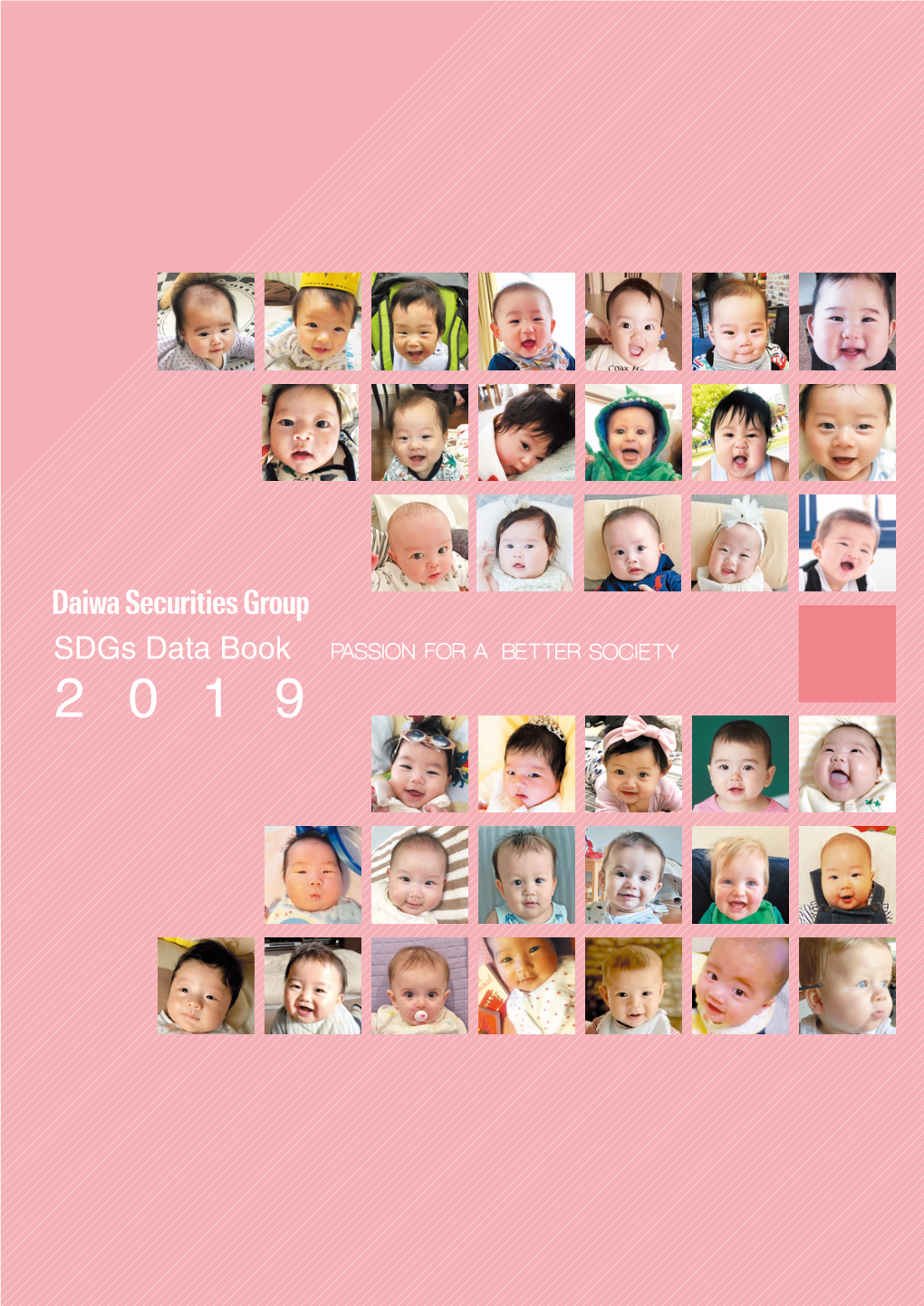 Daiwa Sdgs Data Book 2019 E