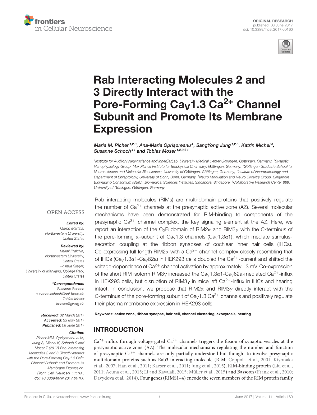 Rab Interacting Molecules 2 and 3 Directly Interact with the Pore-Forming Cav1.3 Ca2+ Channel Subunit and Promote Its Membrane E