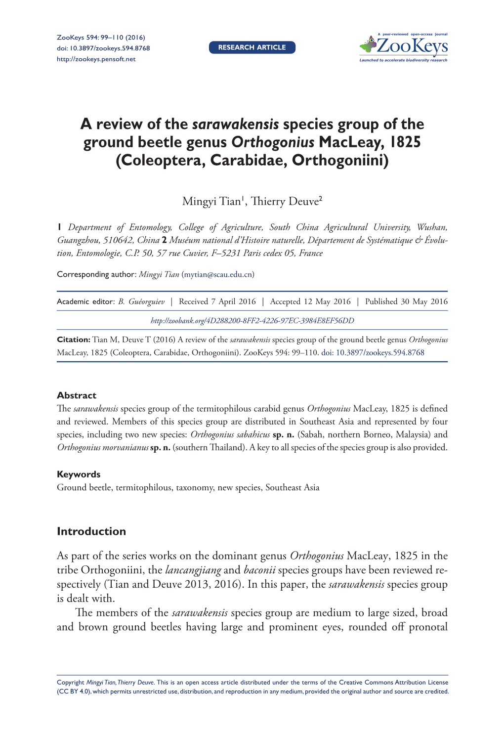 ﻿A Review of the Sarawakensis Species Group of the Ground Beetle Genus