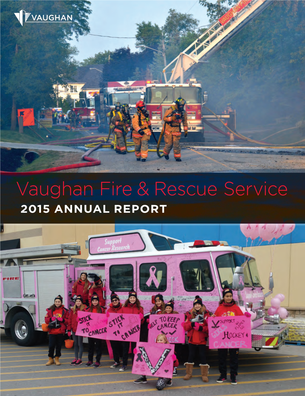 2015 VFRS Annual Report