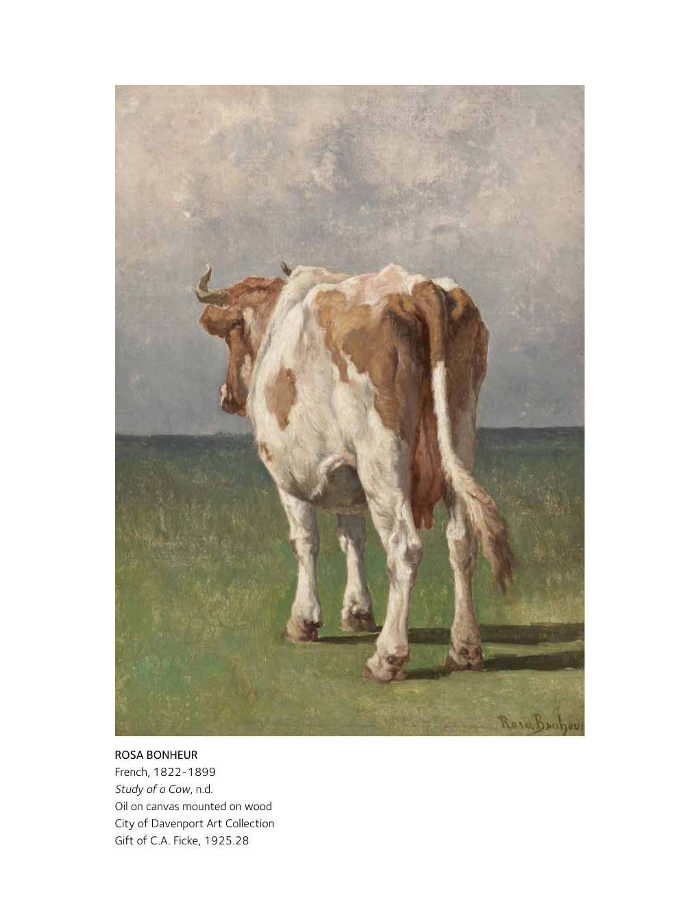 ROSA BONHEUR French, 1822-1899 Study of a Cow, N.D
