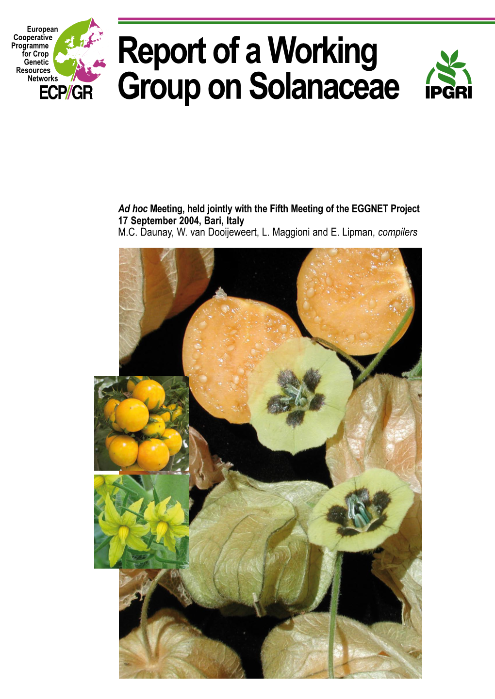 Report of a Working Group on Solanaceae