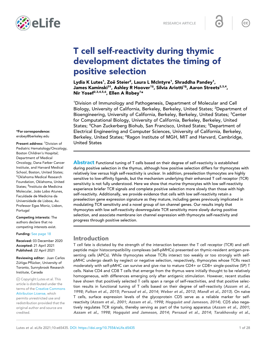 T Cell Self-Reactivity During Thymic Development Dictates the Timing of Positive Selection