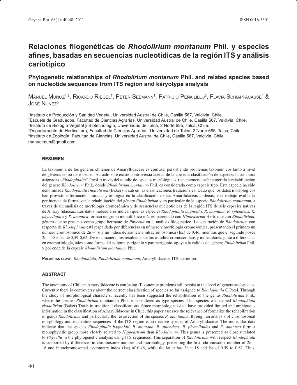 Relaciones Filogenéticas De Rhodolirium Montanum Phil. Y