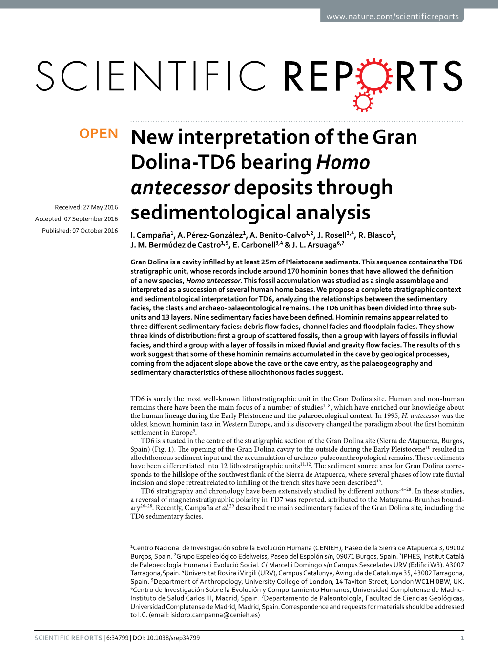 New Interpretation of the Gran Dolina-TD6 Bearing Homo