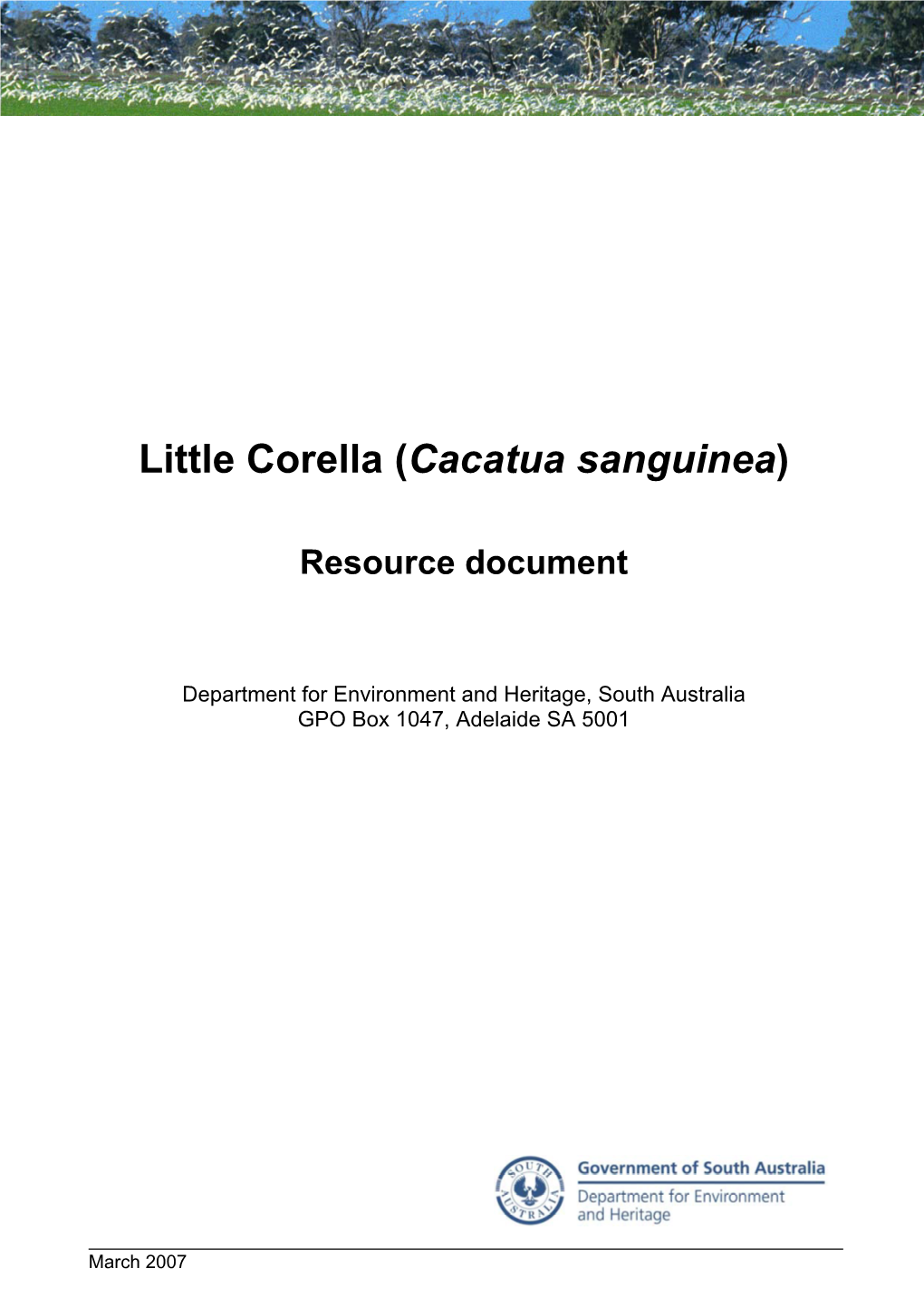 Little Corella (Cacatua Sanguinea); Resource Document