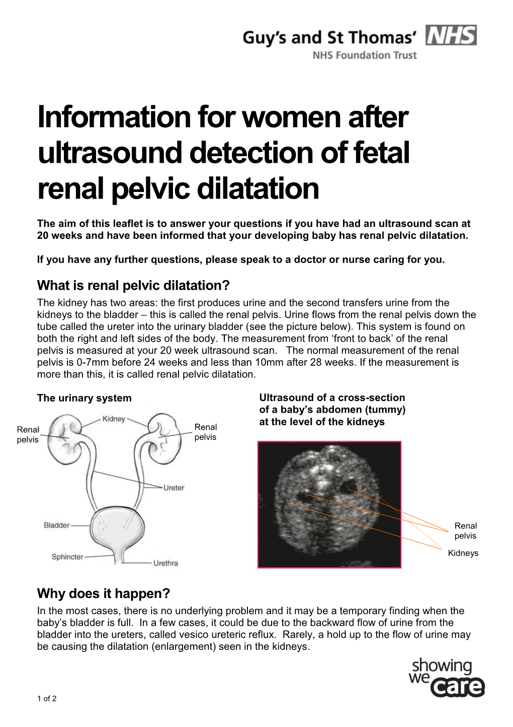 Information for Women After Ultrasound Detection of Fetal Renal Pelvic