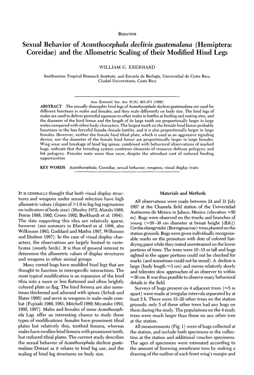 Sexual Behavior of Acanthocephala Declivis Guatemalana (Hemiptera: Coreidae) and the Allometric Scaling of Their Modified Hind Legs