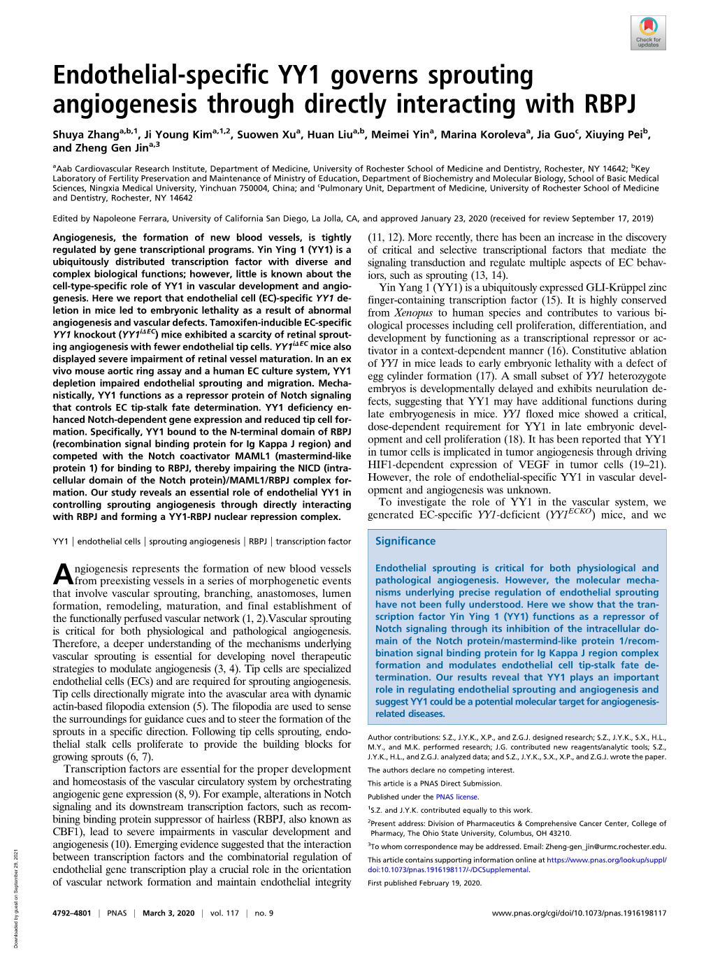 Endothelial-Specific YY1 Governs Sprouting Angiogenesis Through Directly Interacting with RBPJ