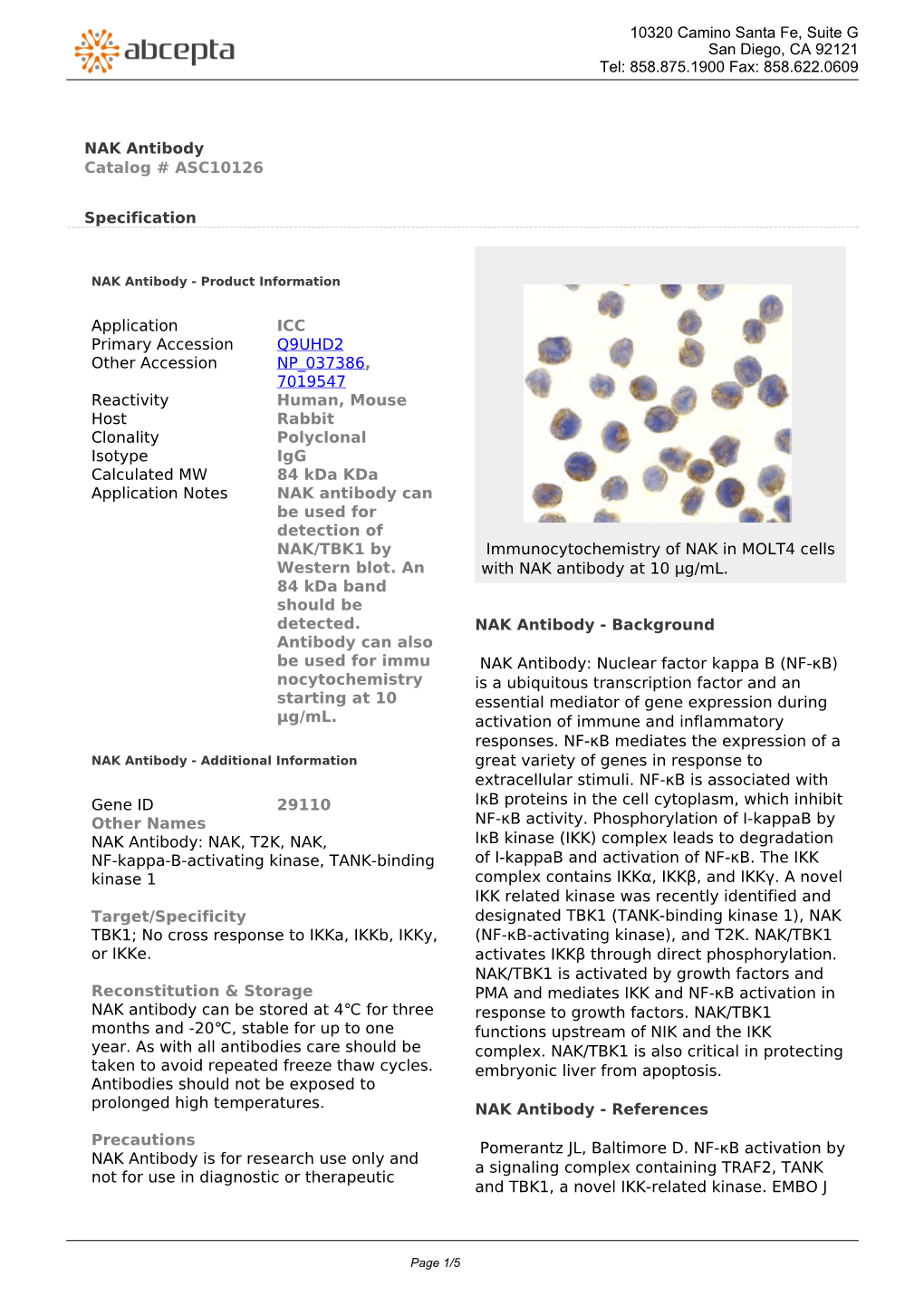 NAK Antibody Catalog # ASC10126