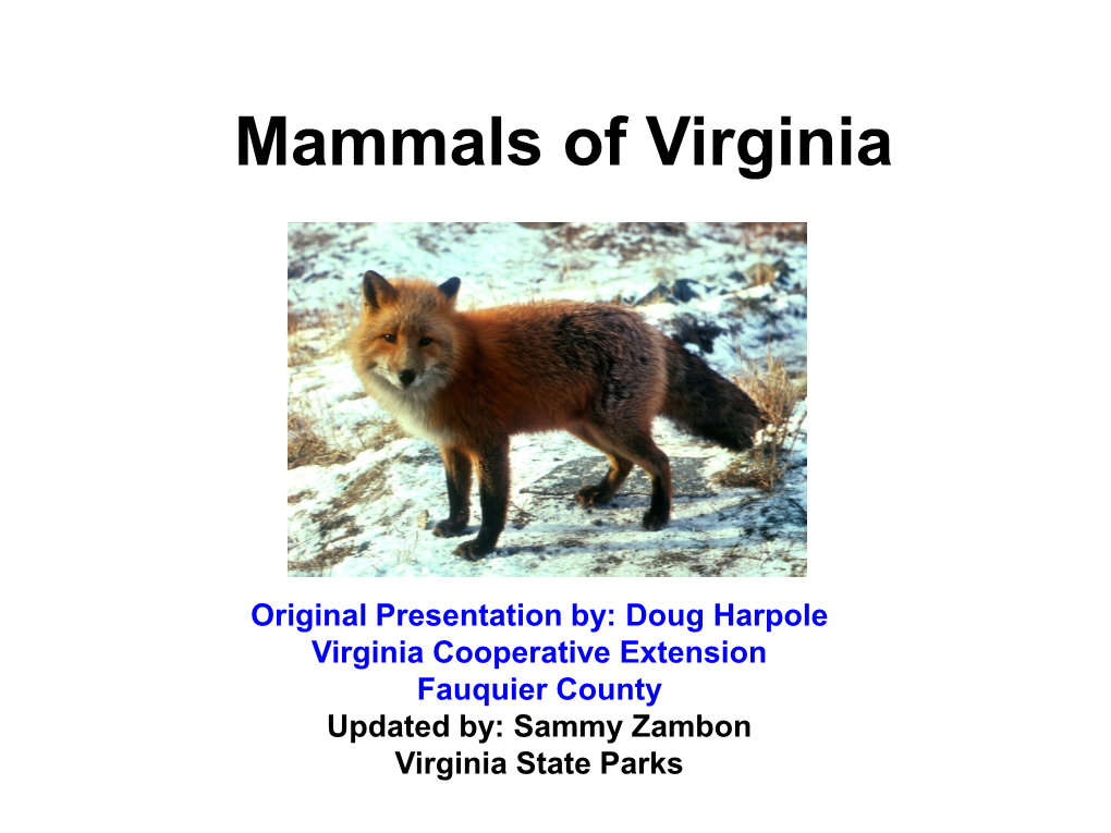 Mammals of Virginia