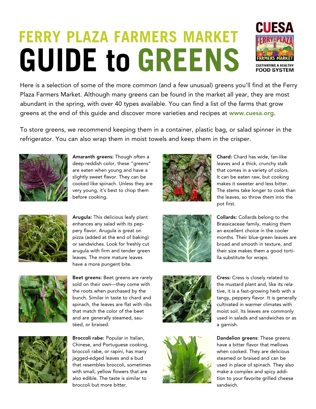 GUIDE to GREENS Here Is a Selection of Some of the More Common (And a Few Unusual) Greens You’Ll Find at the Ferry Plaza Farmers Market