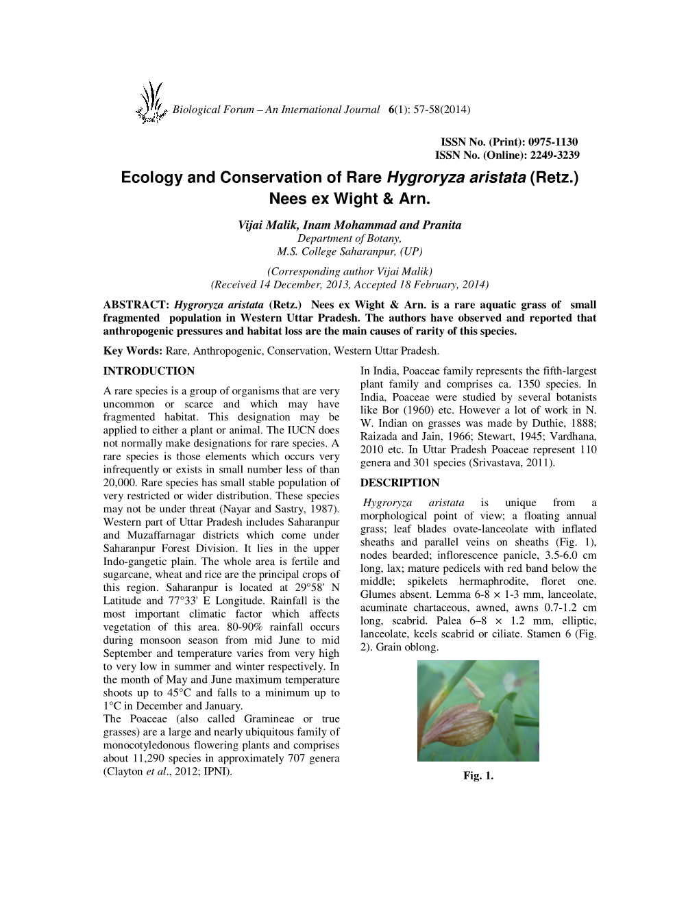 Ecology and Conservation of Rare Hygroryza Aristata (Retz.) Nees Ex Wight & Arn