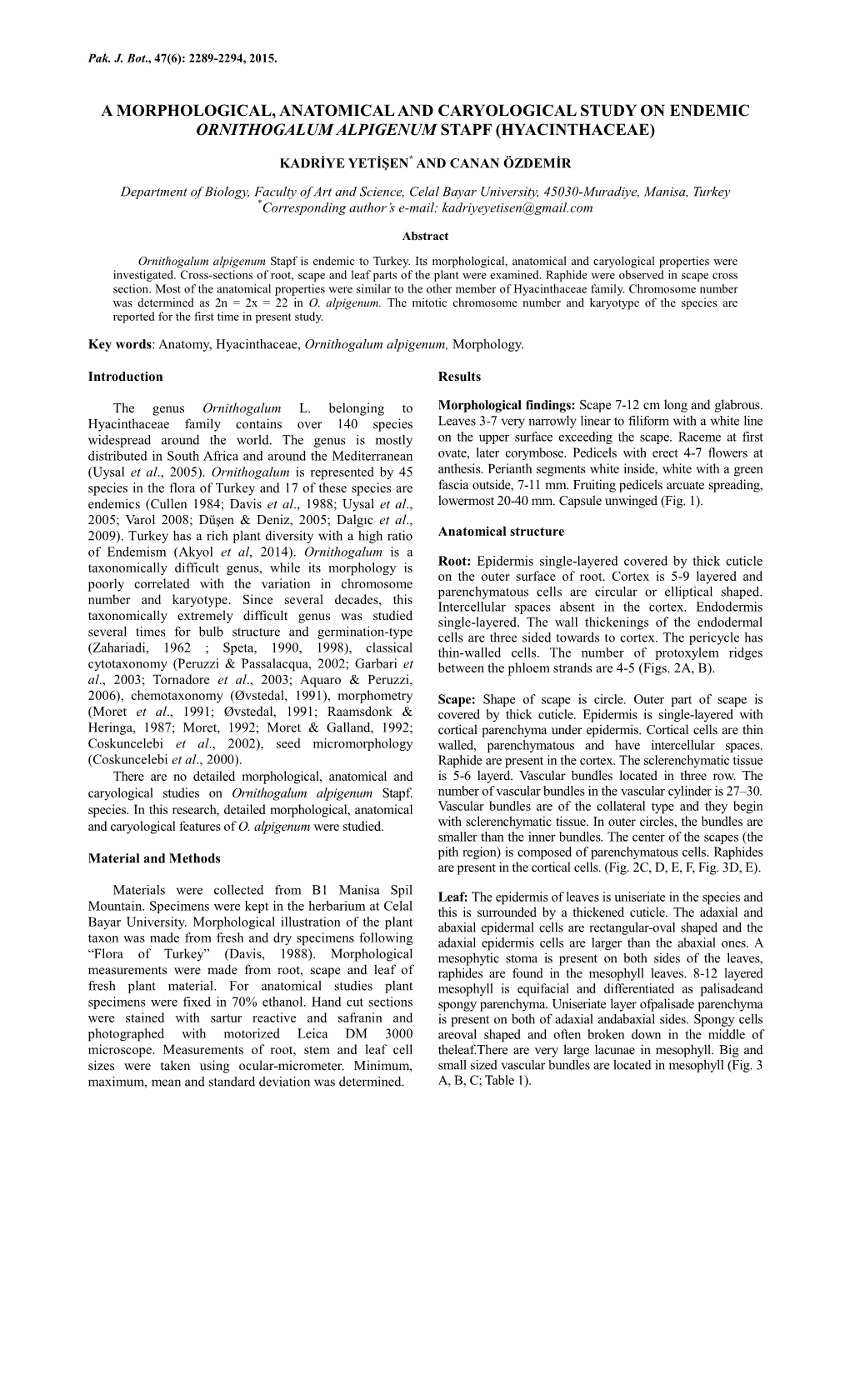 A Morphological, Anatomical and Caryological Study on Endemic Ornithogalum Alpigenum Stapf (Hyacinthaceae)