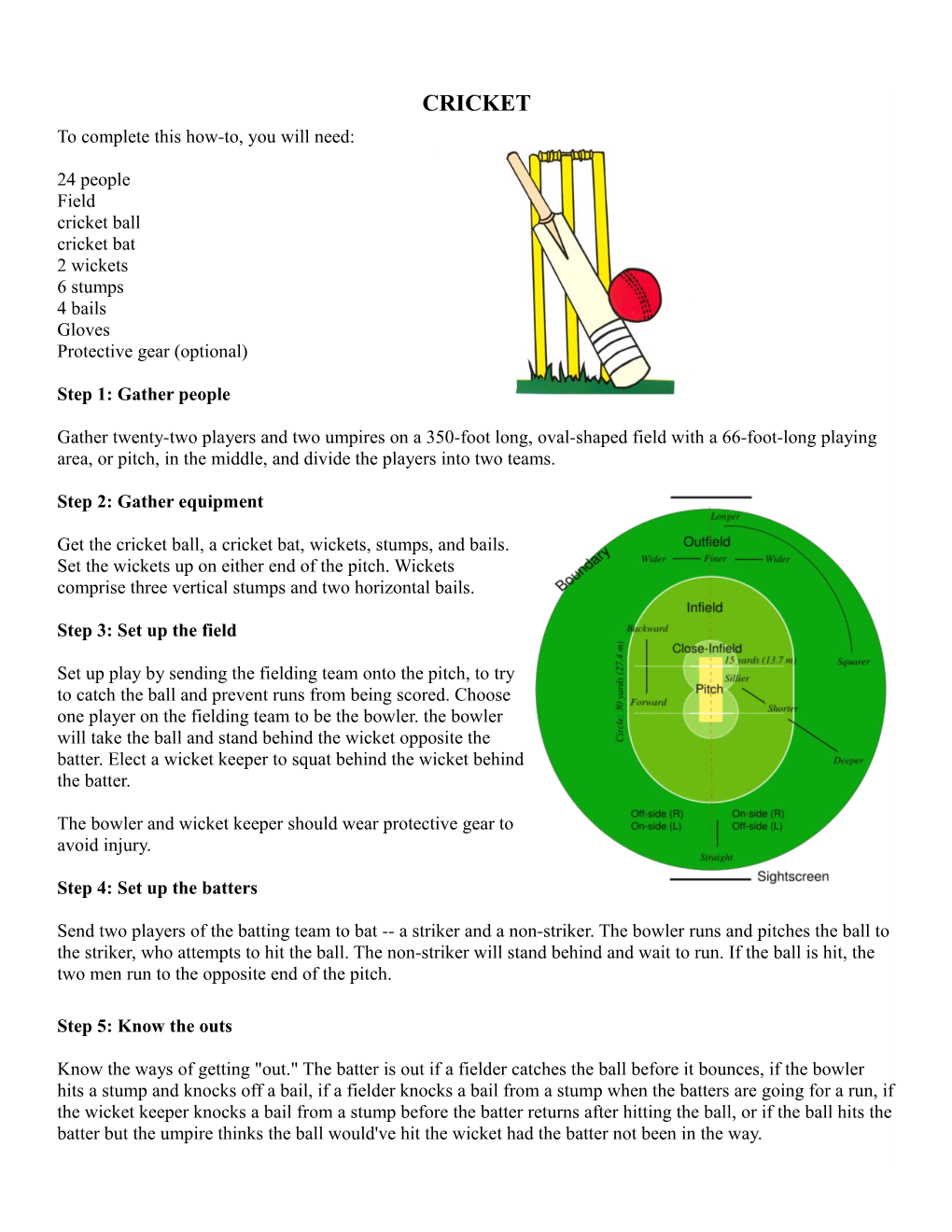 CRICKET to Complete This How-To, You Will Need