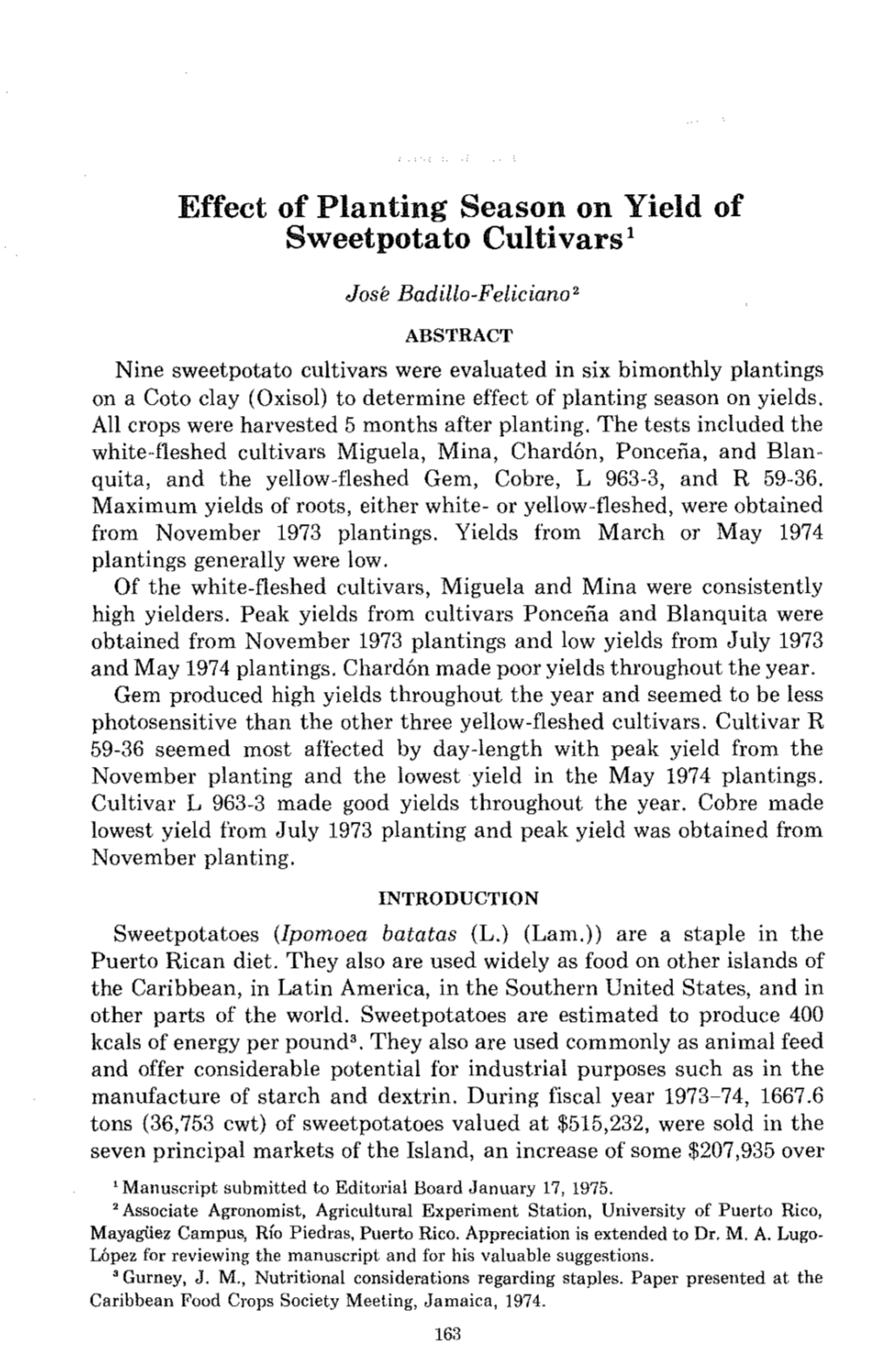 Effect of Planting Season on Yield of Sweetpotato Cultivars'