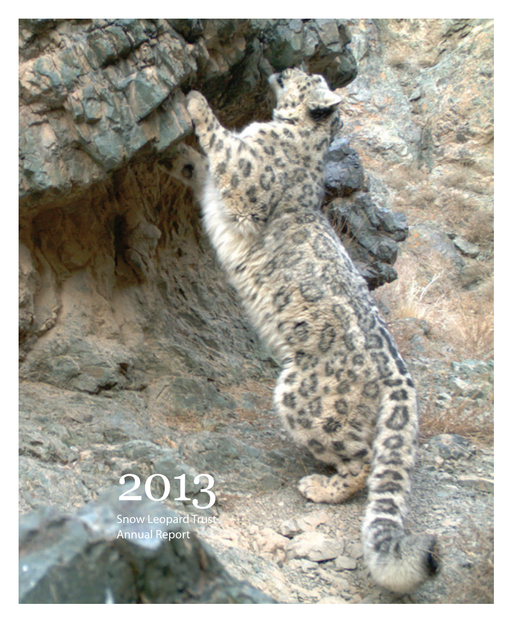 Snow Leopard Trust Annual Report