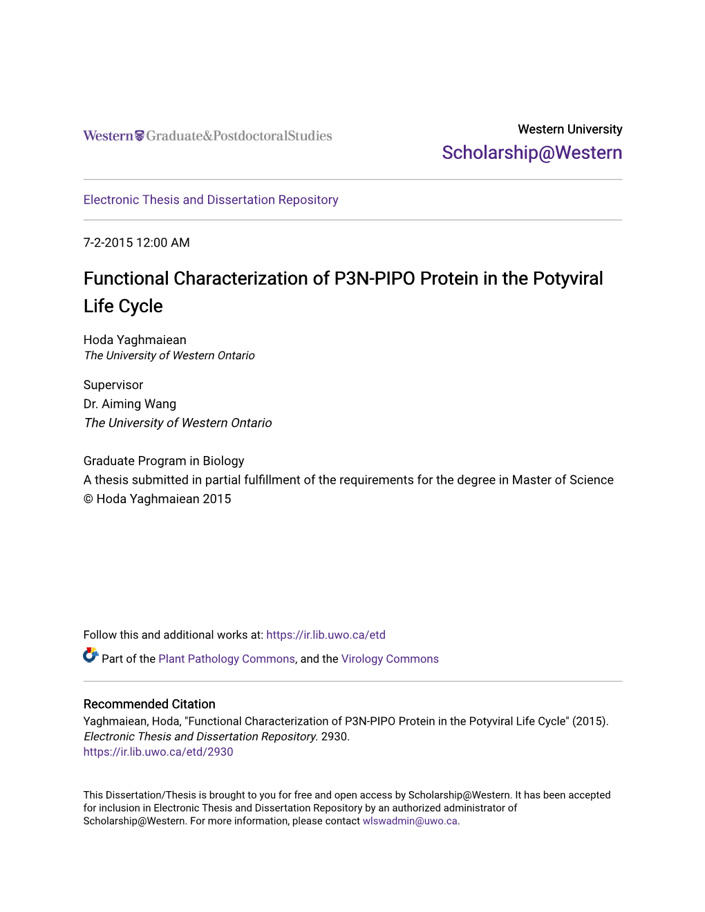 Functional Characterization of P3N-PIPO Protein in the Potyviral Life Cycle